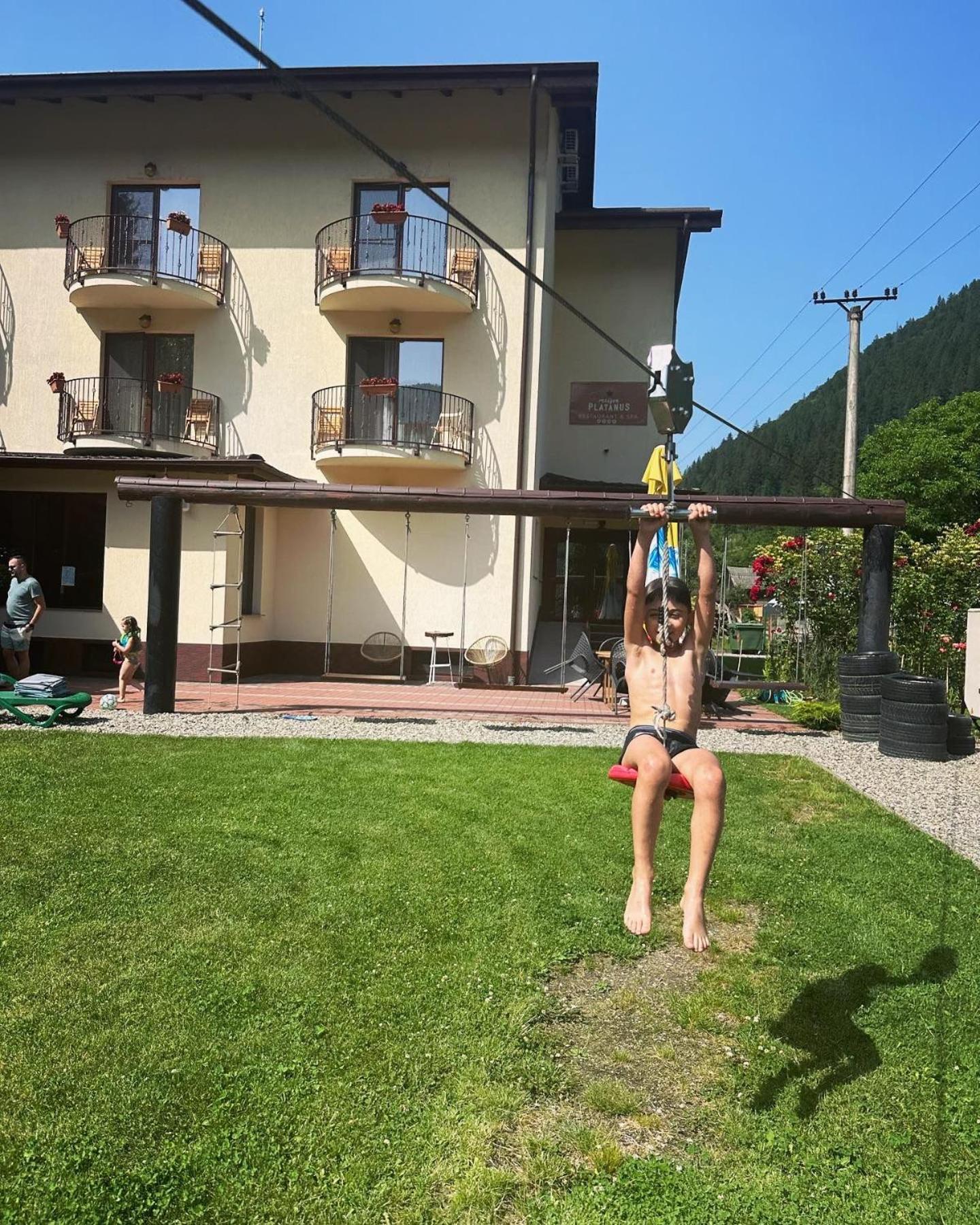 Maison Platanus Voineasa Dış mekan fotoğraf