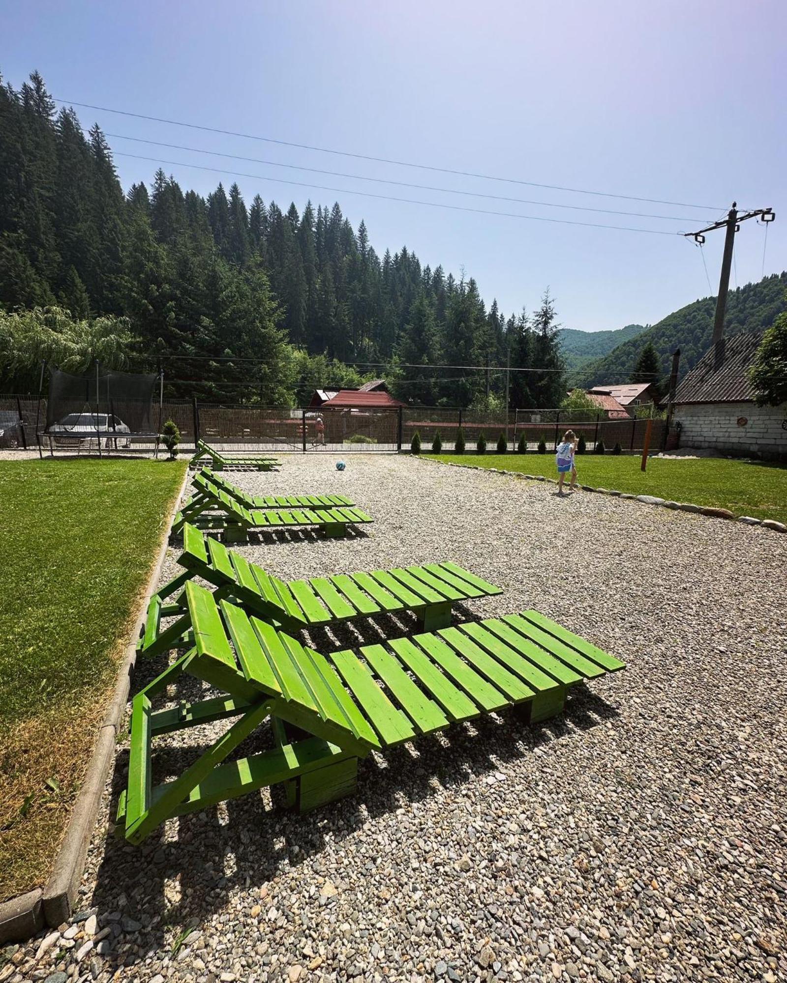 Maison Platanus Voineasa Dış mekan fotoğraf