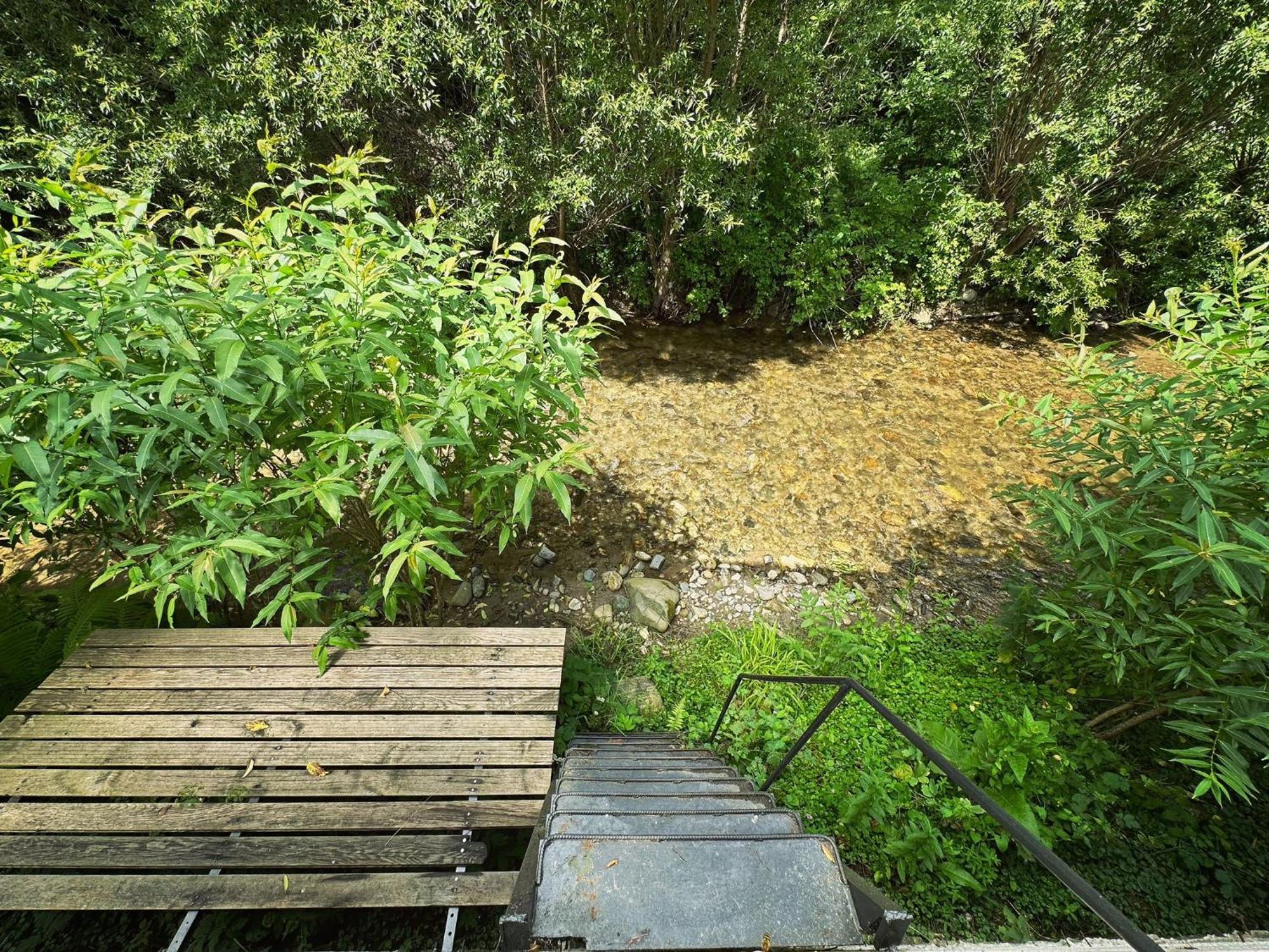Maison Platanus Voineasa Dış mekan fotoğraf